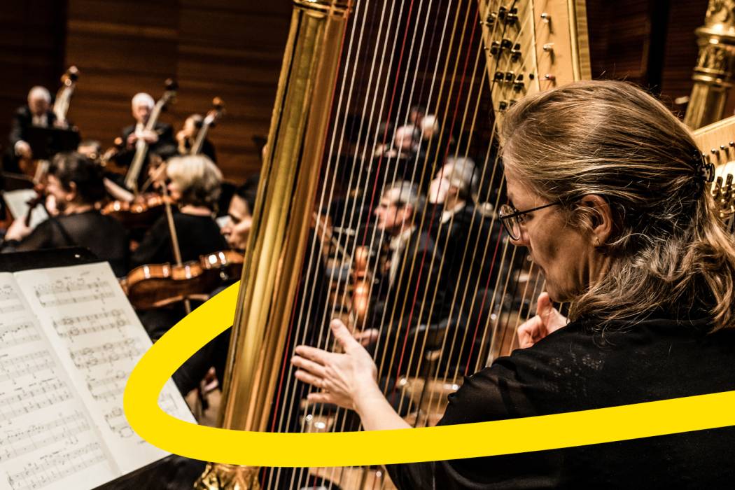 10. Sinfoniekonzert