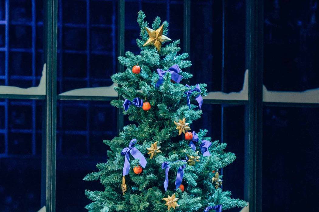 christmas@dnt